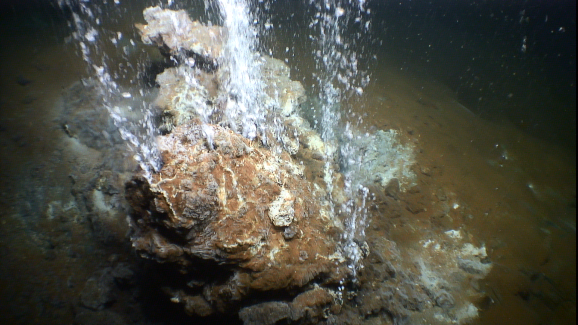 Fig. 20 Fluidi da sistema idrotermale sottomarino