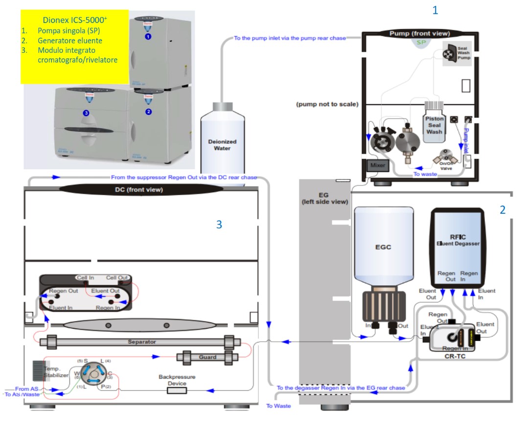 Figura 3